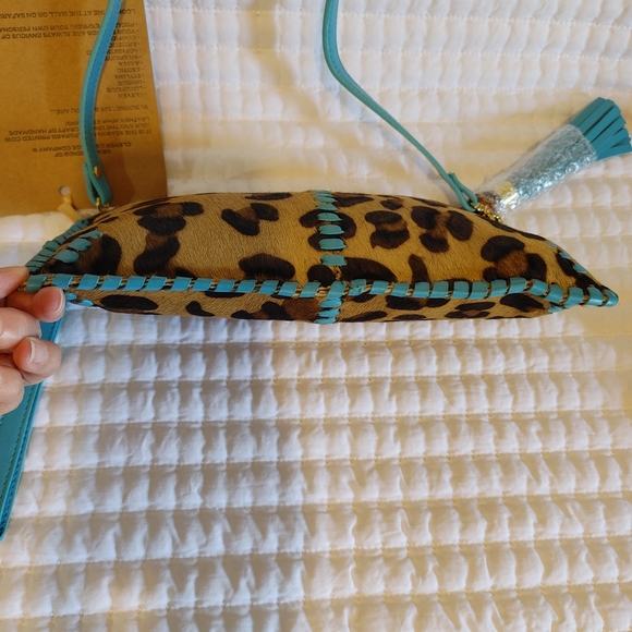 Clever Carriage - Picture 3 of 5